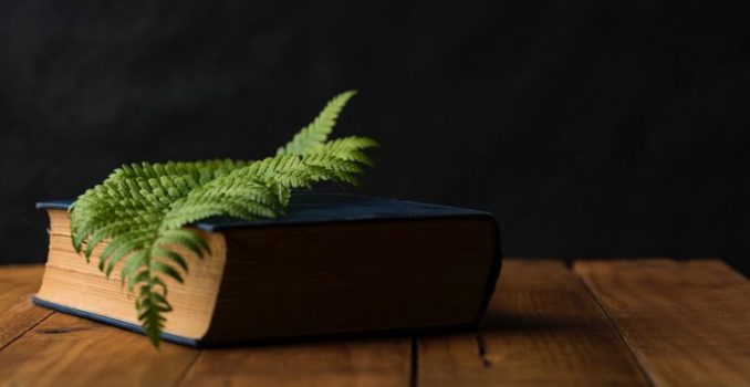 De waarde van jouw ‘Zwarte Bladzijden’!