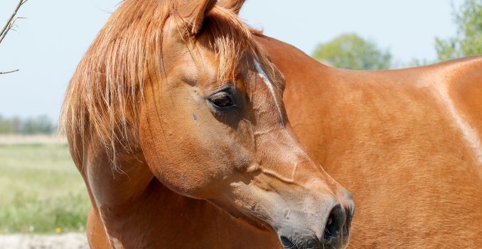 Controle over je controle-behoefte?!